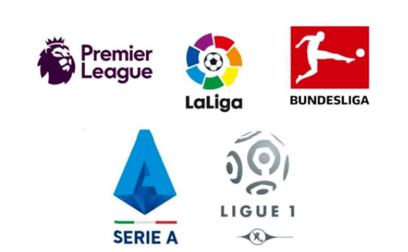 组织能力 组织能力