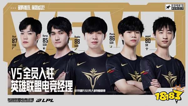 波波维奇的 波波维奇的